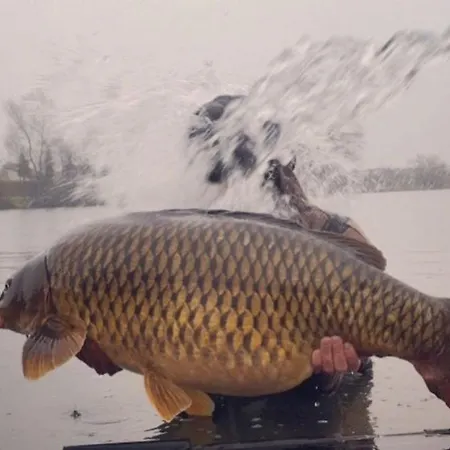 House Vilana Vikendica Puconci