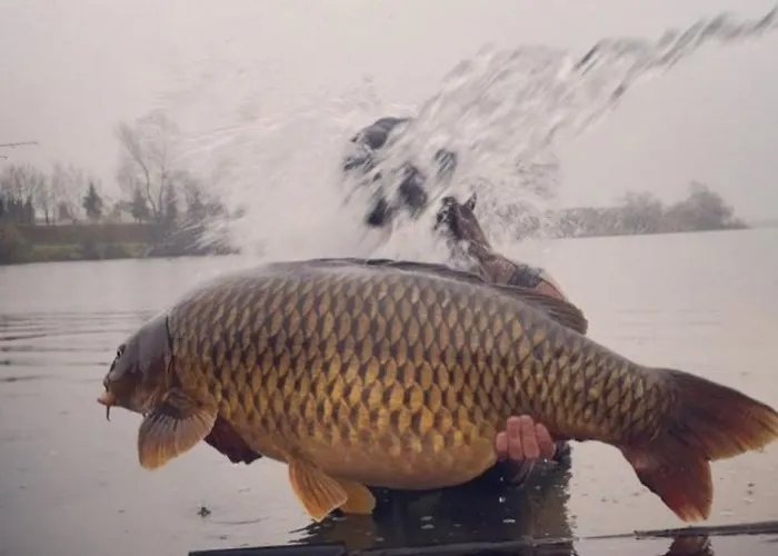 House Vilana Σπίτι διακοπών Puconci